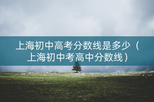 上海初中高考分数线是多少（上海初中考高中分数线）