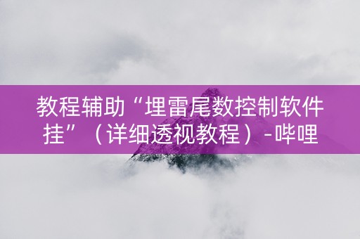 教程辅助“埋雷尾数控制软件挂”（详细透视教程）-哔哩哔哩