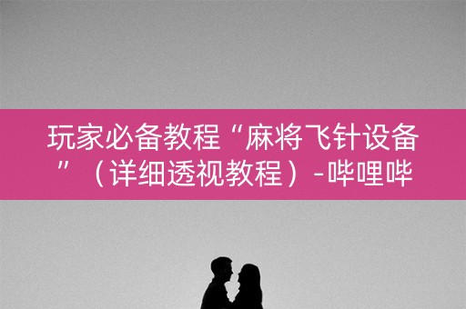 玩家必备教程“麻将飞针设备”（详细透视教程）-哔哩哔哩