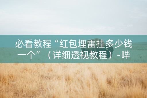 必看教程“红包埋雷挂多少钱一个”（详细透视教程）-哔哩哔哩