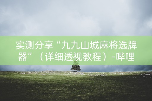 实测分享“九九山城麻将选牌器”（详细透视教程）-哔哩哔哩