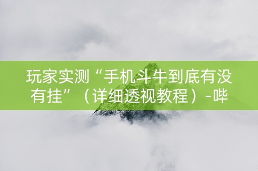 玩家实测“手机斗牛到底有没有挂”（详细透视教程）-哔哩哔哩