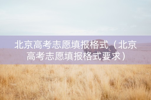 北京高考志愿填报格式（北京高考志愿填报格式要求）