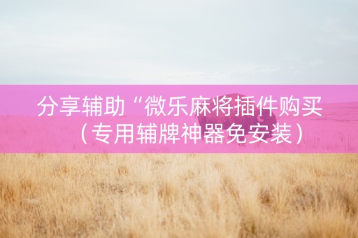 分享辅助“微乐麻将插件购买（专用辅牌神器免安装）