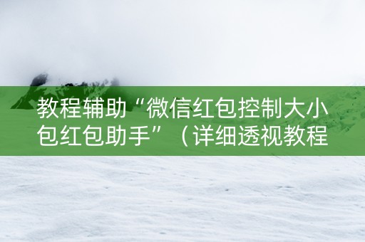 教程辅助“微信红包控制大小包红包助手”（详细透视教程）-哔哩哔哩