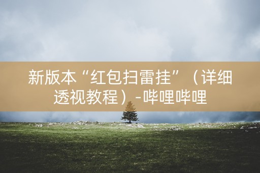 新版本“红包扫雷挂”（详细透视教程）-哔哩哔哩