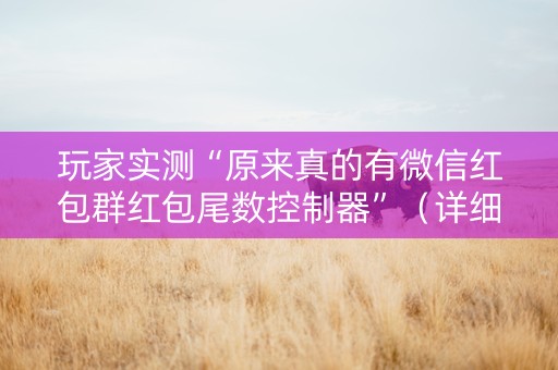 玩家实测“原来真的有微信红包群红包尾数控制器”（详细透视教程）-哔哩哔哩