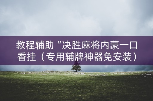 教程辅助“决胜麻将内蒙一口香挂（专用辅牌神器免安装）