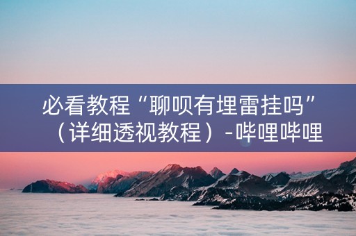 必看教程“聊呗有埋雷挂吗”（详细透视教程）-哔哩哔哩