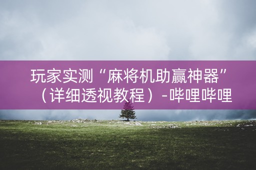 玩家实测“麻将机助赢神器”（详细透视教程）-哔哩哔哩
