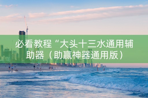 必看教程“大头十三水通用辅助器（助赢神器通用版）