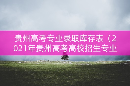 贵州高考专业录取库存表（2021年贵州高考高校招生专业目录）