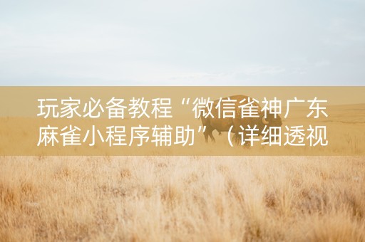 玩家必备教程“微信雀神广东麻雀小程序辅助”（详细透视教程）-哔哩哔哩