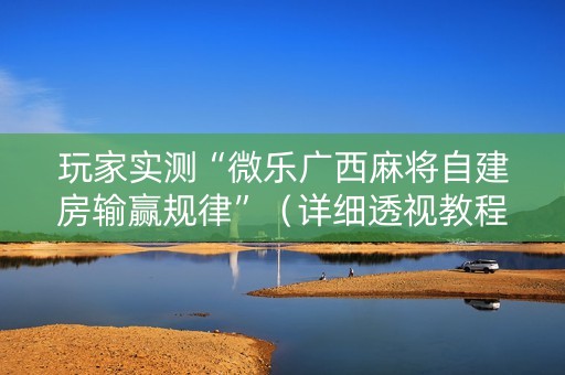 玩家实测“微乐广西麻将自建房输赢规律”（详细透视教程）-哔哩哔哩