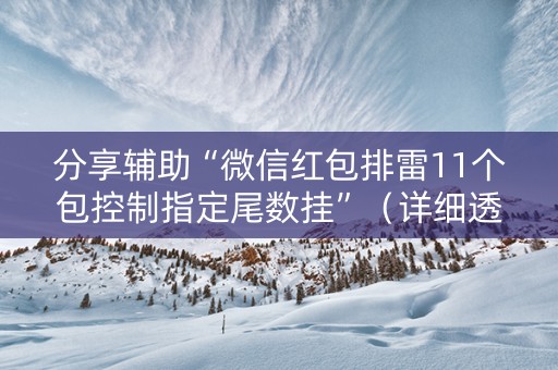 分享辅助“微信红包排雷11个包控制指定尾数挂”（详细透视教程）-哔哩哔哩