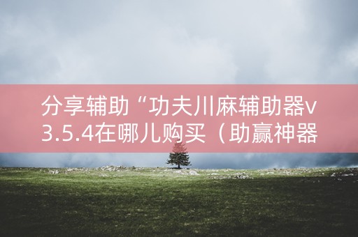分享辅助“功夫川麻辅助器v3.5.4在哪儿购买（助赢神器通用版）