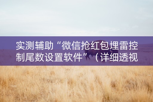 实测辅助“微信抢红包埋雷控制尾数设置软件”（详细透视教程）-哔哩哔哩