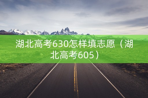 湖北高考630怎样填志愿（湖北高考605）