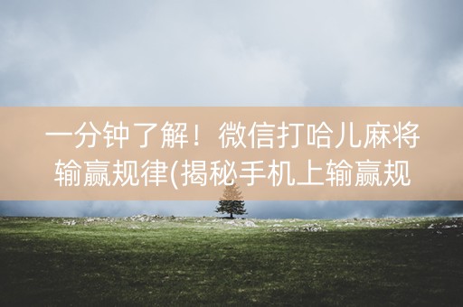 一分钟了解！微信打哈儿麻将输赢规律(揭秘手机上输赢规律)