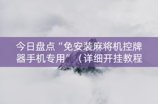 今日盘点“免安装麻将机控牌器手机专用”（详细开挂教程）-哔哩哔哩