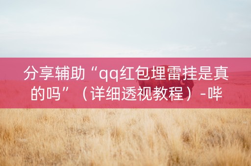 分享辅助“qq红包埋雷挂是真的吗”（详细透视教程）-哔哩哔哩
