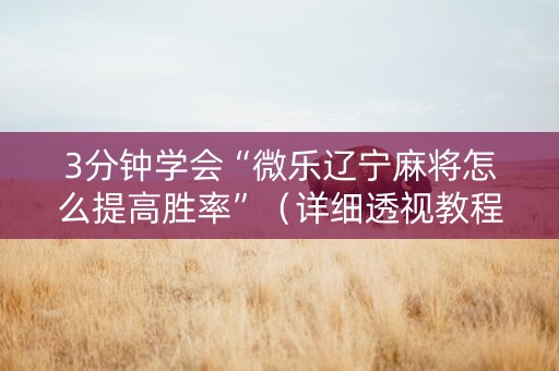 3分钟学会“微乐辽宁麻将怎么提高胜率”（详细透视教程）-哔哩哔哩