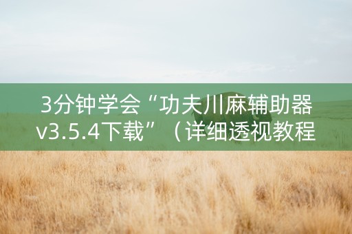 3分钟学会“功夫川麻辅助器v3.5.4下载”（详细透视教程）-哔哩哔哩