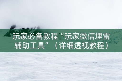 玩家必备教程“玩家微信埋雷辅助工具”（详细透视教程）-哔哩哔哩