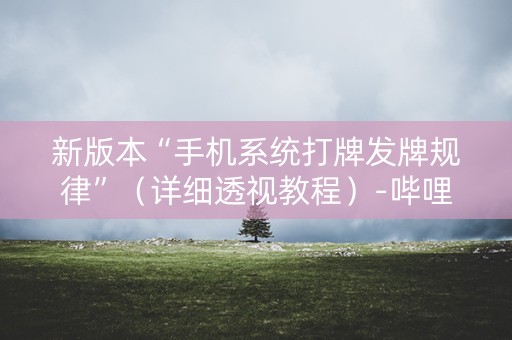 新版本“手机系统打牌发牌规律”（详细透视教程）-哔哩哔哩