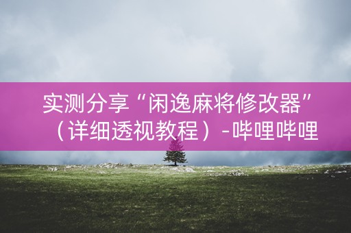 实测分享“闲逸麻将修改器”（详细透视教程）-哔哩哔哩