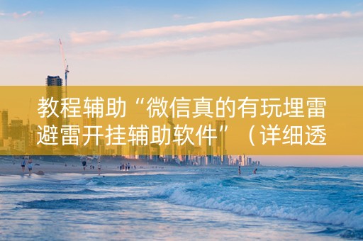 教程辅助“微信真的有玩埋雷避雷开挂辅助软件”（详细透视教程）-哔哩哔哩
