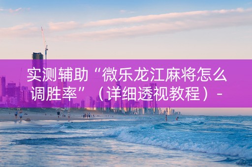 实测辅助“微乐龙江麻将怎么调胜率”（详细透视教程）-哔哩哔哩