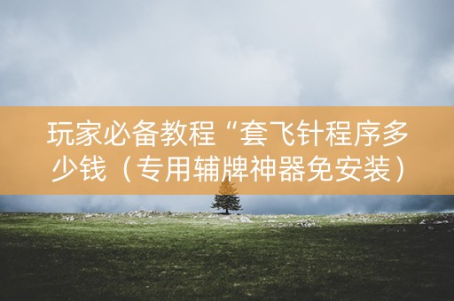 玩家必备教程“套飞针程序多少钱（专用辅牌神器免安装）