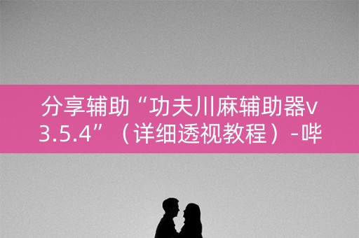 分享辅助“功夫川麻辅助器v3.5.4”（详细透视教程）-哔哩哔哩