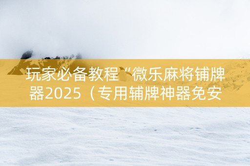 玩家必备教程“微乐麻将铺牌器2025（专用辅牌神器免安装）