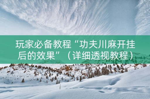 玩家必备教程“功夫川麻开挂后的效果”（详细透视教程）-哔哩哔哩