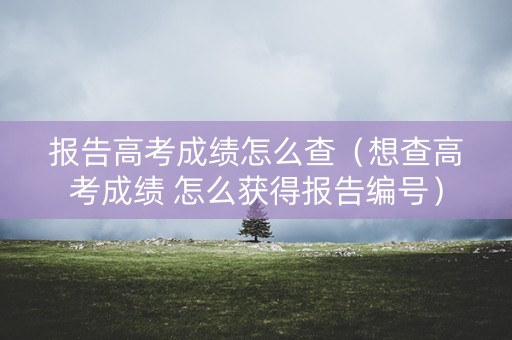 报告高考成绩怎么查（想查高考成绩 怎么获得报告编号）