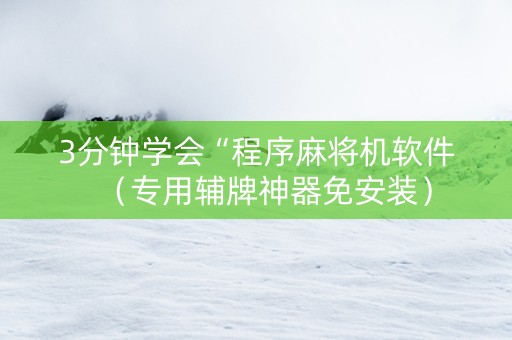 3分钟学会“程序麻将机软件（专用辅牌神器免安装）
