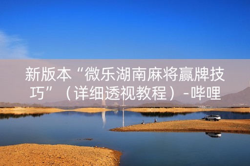 新版本“微乐湖南麻将赢牌技巧”（详细透视教程）-哔哩哔哩
