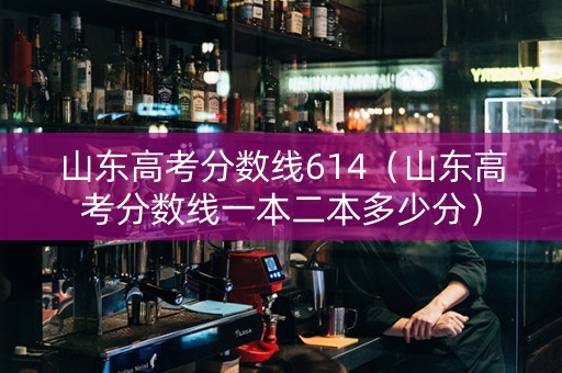 山东高考分数线614（山东高考分数线一本二本多少分）