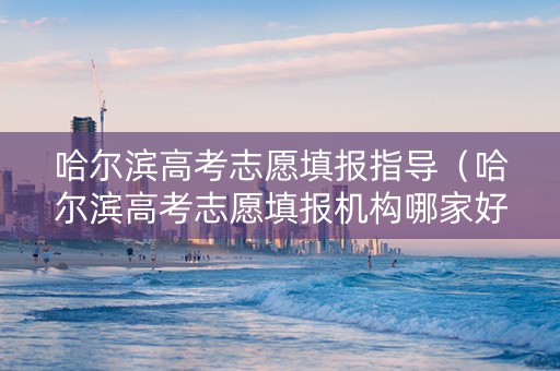 哈尔滨高考志愿填报指导（哈尔滨高考志愿填报机构哪家好）