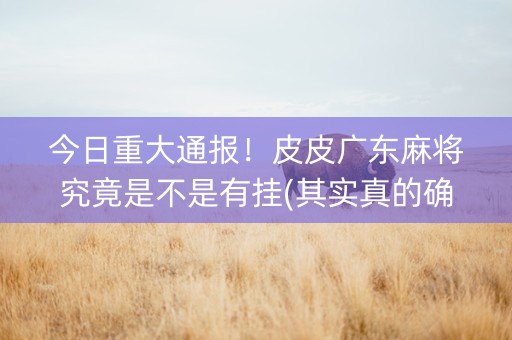 今日重大通报！皮皮广东麻将究竟是不是有挂(其实真的确实有挂)