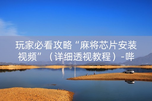 玩家必看攻略“麻将芯片安装视频”（详细透视教程）-哔哩哔哩