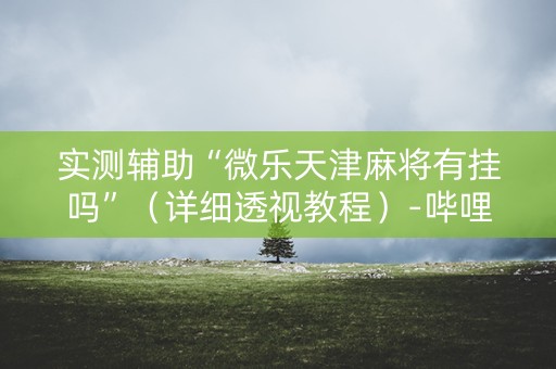 实测辅助“微乐天津麻将有挂吗”（详细透视教程）-哔哩哔哩