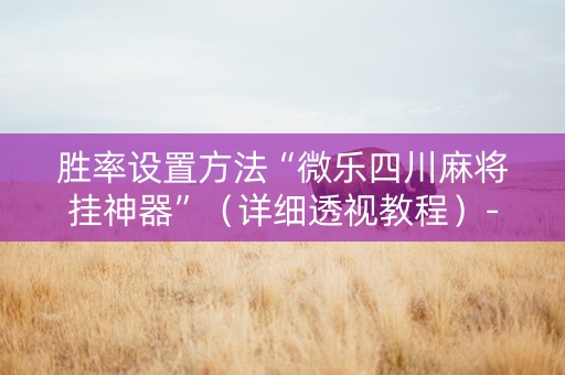 胜率设置方法“微乐四川麻将挂神器”（详细透视教程）-哔哩哔哩