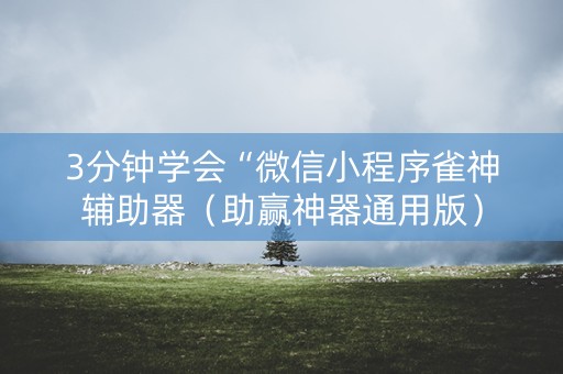 3分钟学会“微信小程序雀神辅助器（助赢神器通用版）