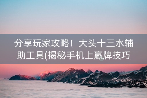 分享玩家攻略！大头十三水辅助工具(揭秘手机上赢牌技巧)