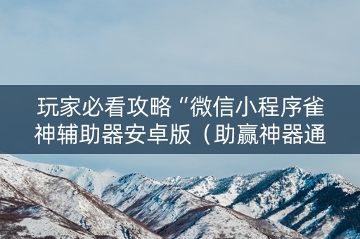 玩家必看攻略“微信小程序雀神辅助器安卓版（助赢神器通用版）