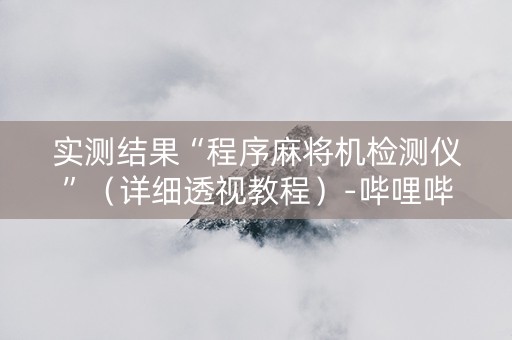 实测结果“程序麻将机检测仪”（详细透视教程）-哔哩哔哩