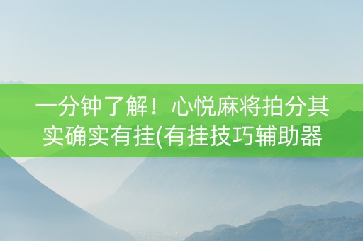 一分钟了解！心悦麻将拍分其实确实有挂(有挂技巧辅助器)